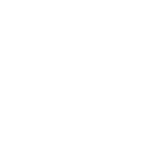 ico-bautic-software-blanco