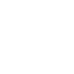 ico-blautic-firmware-blanco